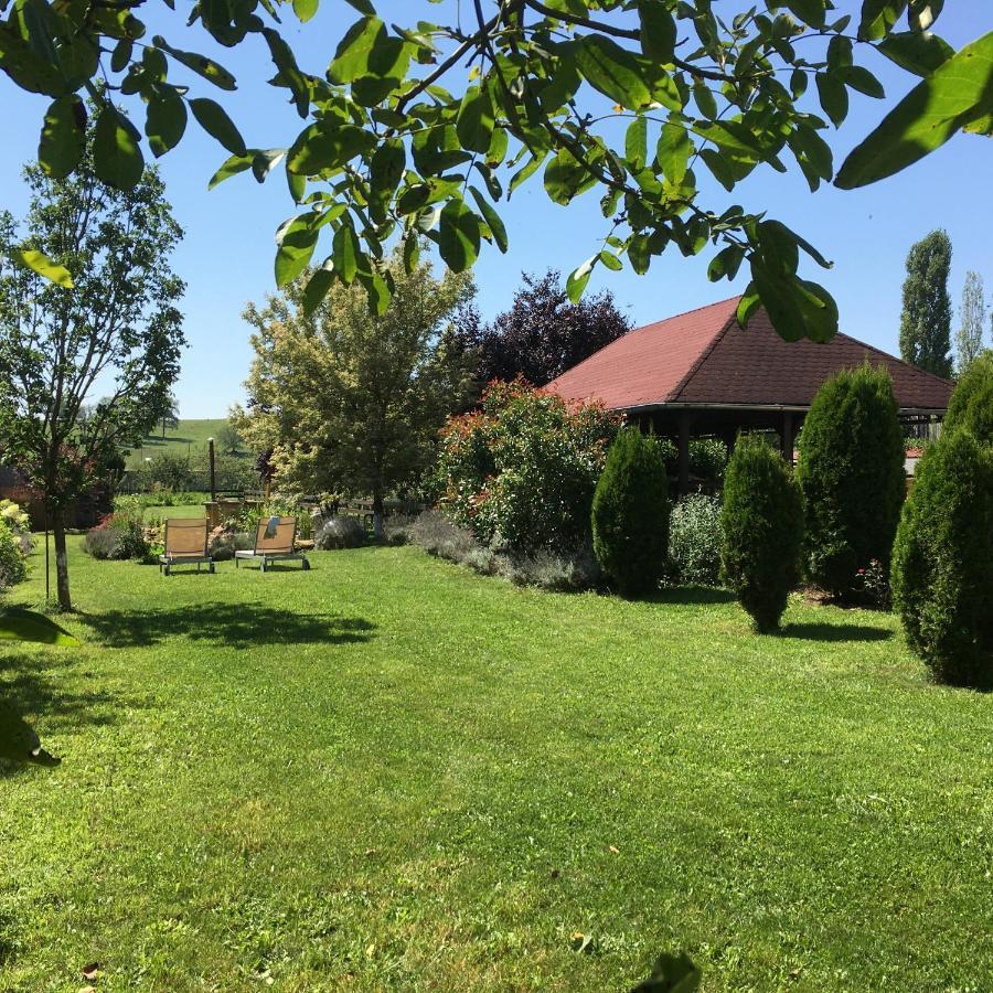 Domaine De La Mance - Maisonnette Avec Cheminee Vitrey-sur-Mance المظهر الخارجي الصورة