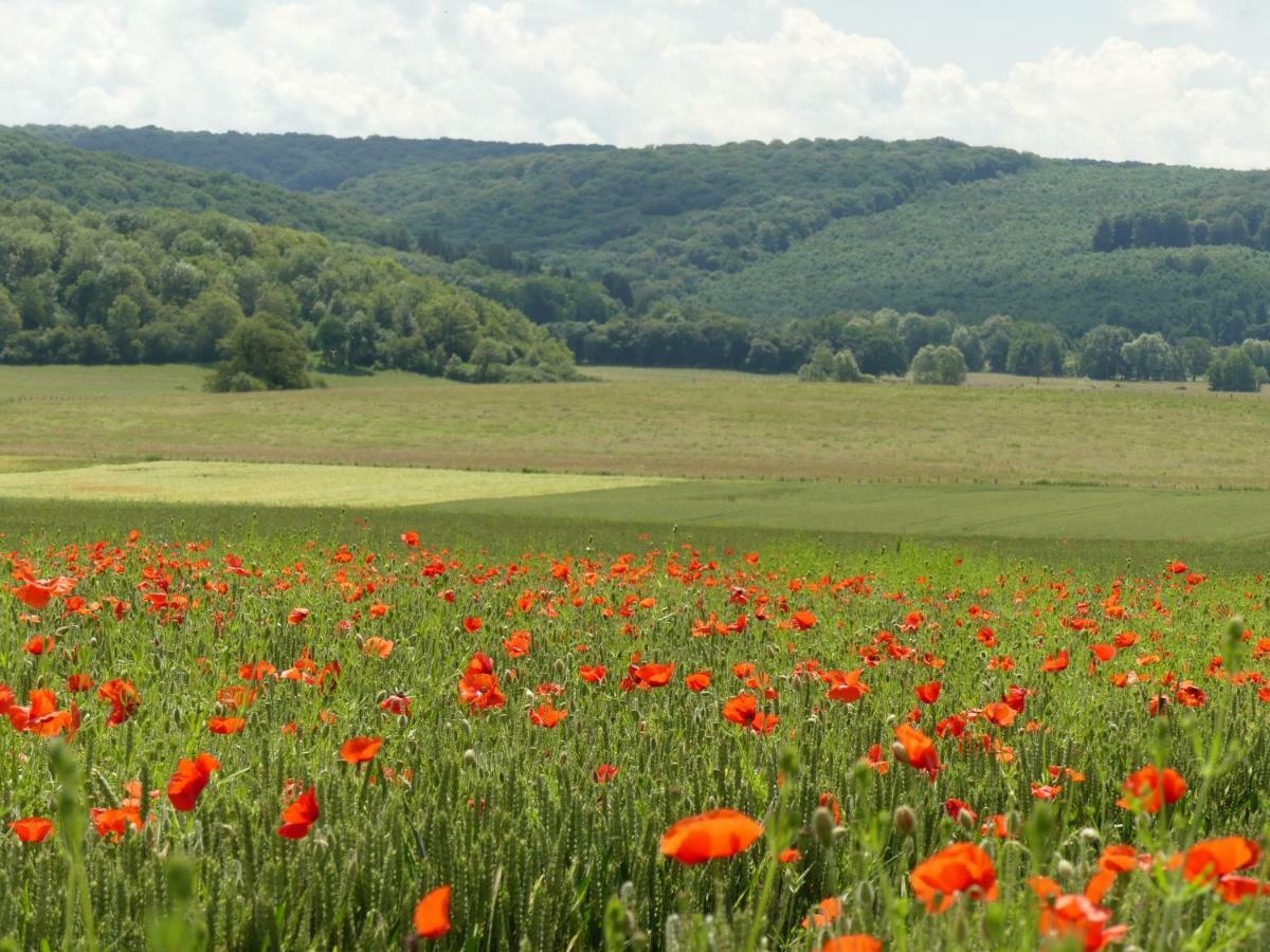 Domaine De La Mance - Maisonnette Avec Cheminee Vitrey-sur-Mance المظهر الخارجي الصورة